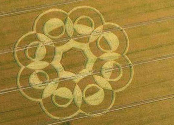 crop circle at Wolbrechtshausen | July 16 2009