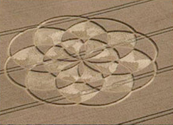 crop circle at Burg Pleese | July 19 2009