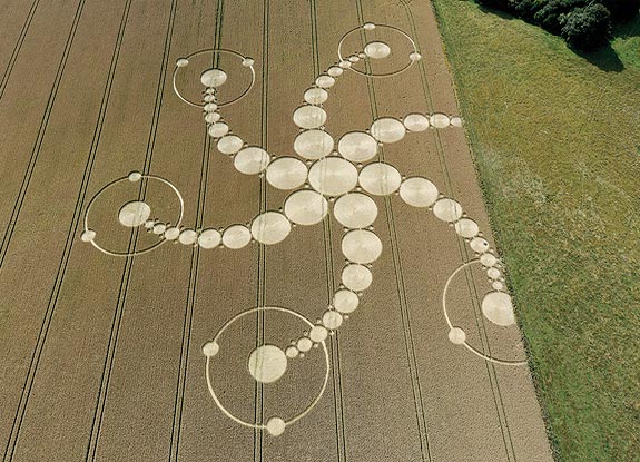 crop circle at Martinsell Hill | July 19 2009