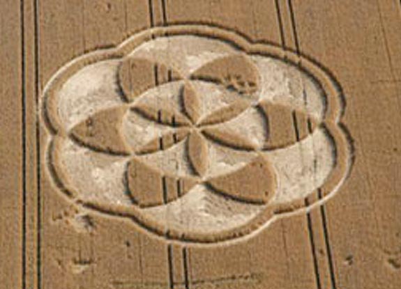 crop circle at Meensen| July 23 2009