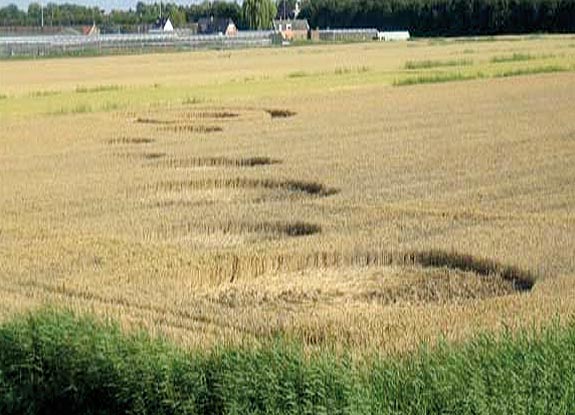 crop circle at Ridderkerk | July 24 2009