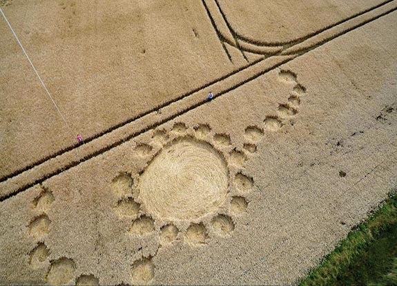 crop circle at Zevenbergen | July 25 2009