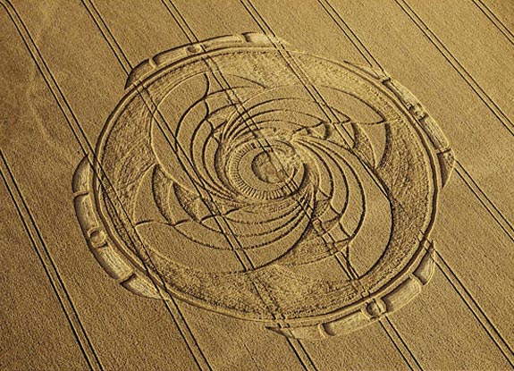 crop circle at Tawesmead Copse | July 25 2009