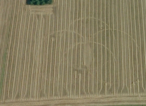 crop circle at Kessel-Lo | July 2009