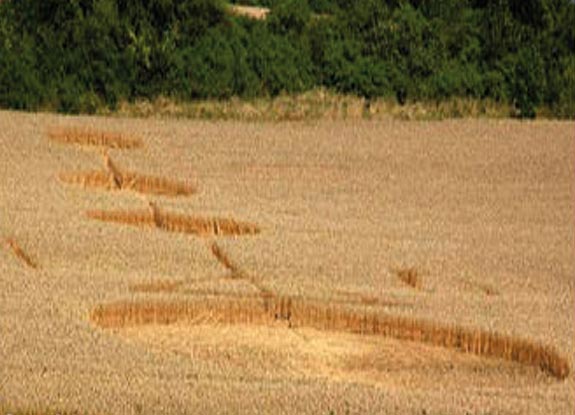 crop circle at Illschwang | August 02 2009