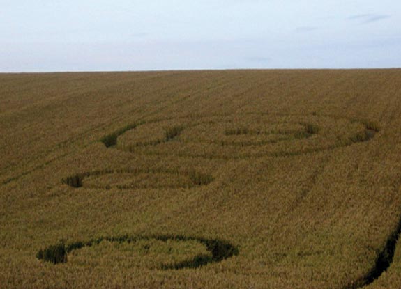 crop circle at Cross Dyke | August 03 2009