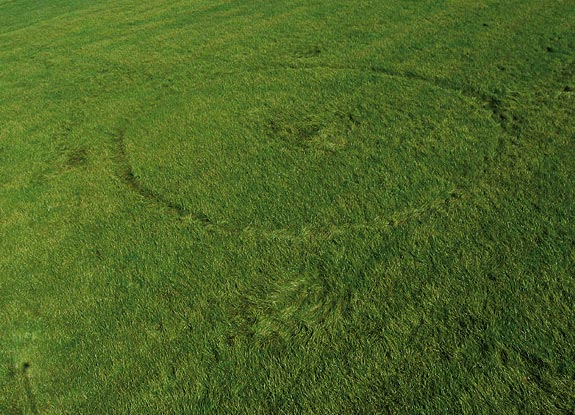 crop circle at Hoeven | August 08 2009