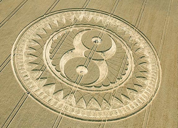 crop circle at Woodborough Hill | August 10 2009