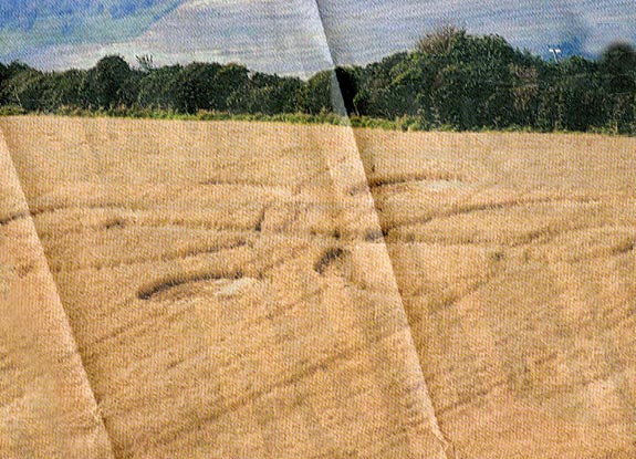 crop circle at Wayland's Smithy | August 10 2009