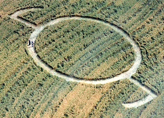 crop circle at Rolingen | August 20 2009