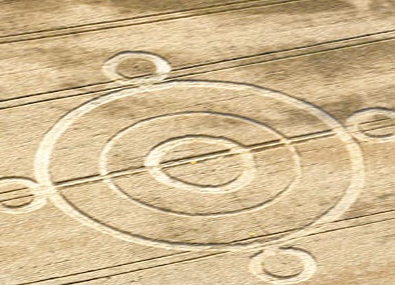 crop circle at Albury | February 01 2010