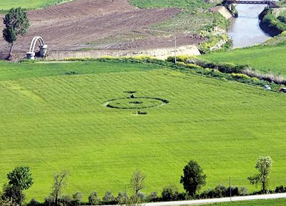 crop circle at Tarquinia | late April 2010