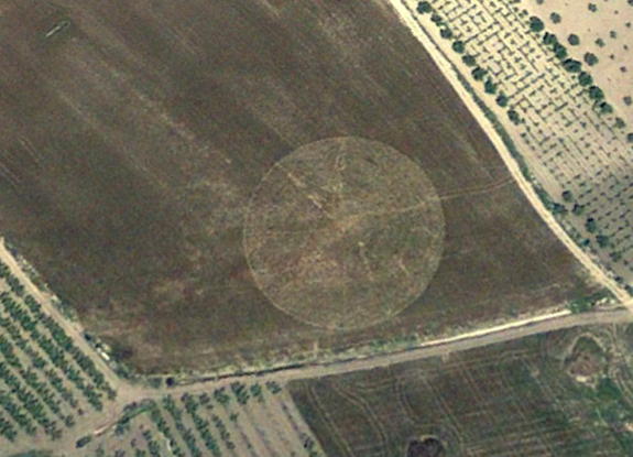 crop circle at Riesi | May 01 2010