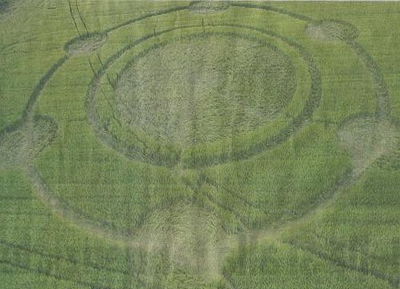 crop circle at Bagnolo Mella | May 02 2010