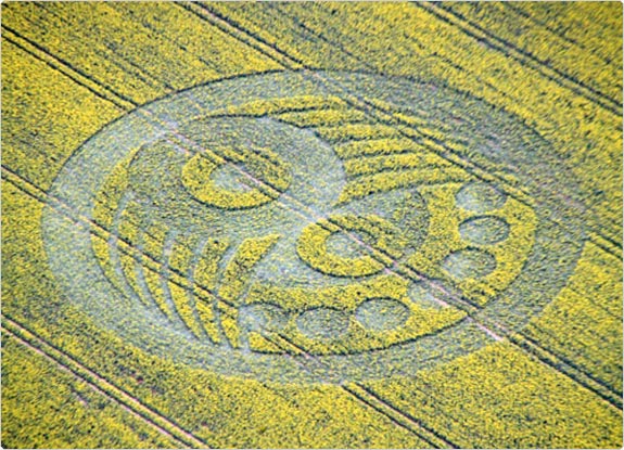 crop circle at Old Sarum | May 05 2010