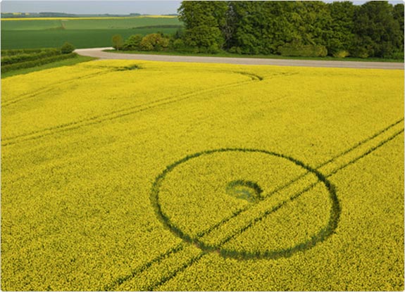 crop circle at Yarnbury Castle | May 16 2010