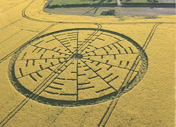 crop circle at Wilton | May 22 2010