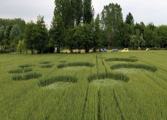 crop circle at Montegranaro | May 26 2010