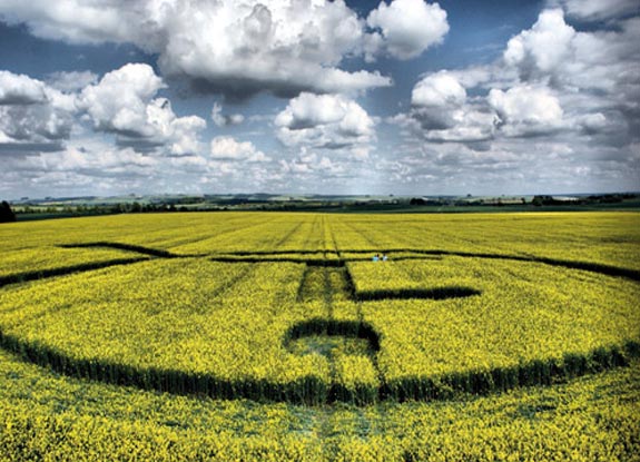 crop circle at Yatesbury| May 27 2010