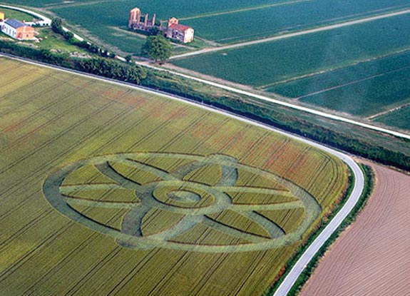 crop circle at Tribano | May 31 2010