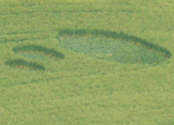 crop circle at Priocca | June 01 2010