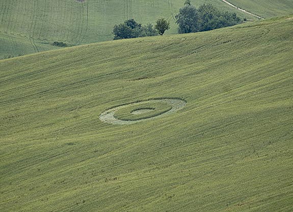 crop circle at Fontepeschiara | June 02 2010