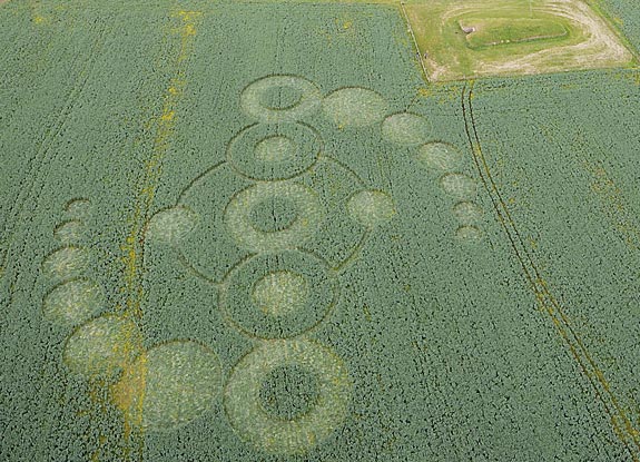 crop circle at Stony Littleton | June 07 2010