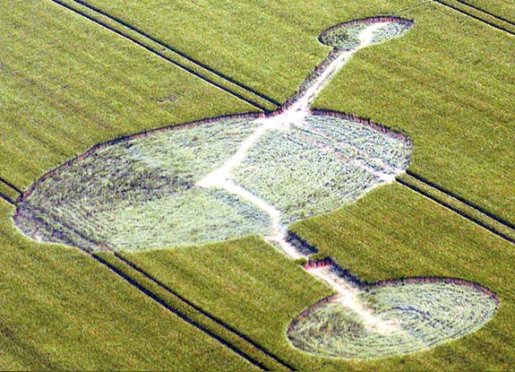 crop circle at Wamont | June 08 2010