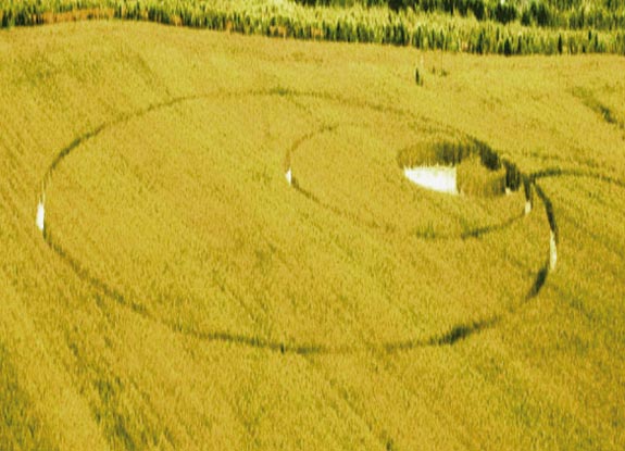 crop circle at Fano | June 09 2010