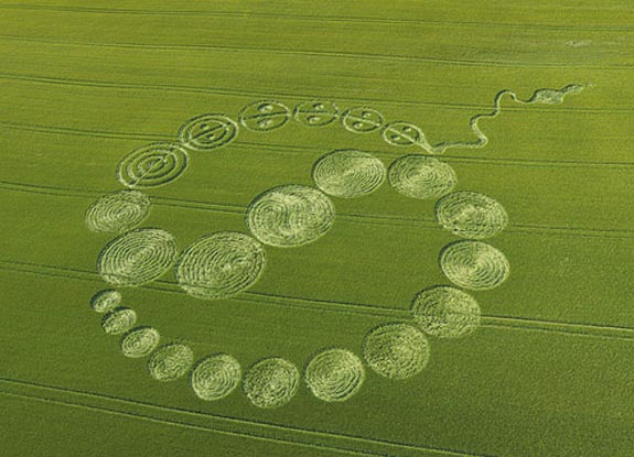 crop circle at Walbury Hill | June 12 2010