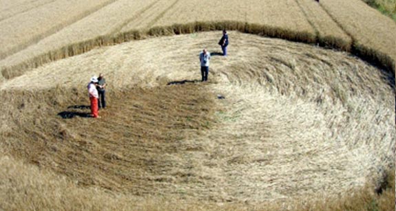 crop circle at Collesalvetti | June 14 2010