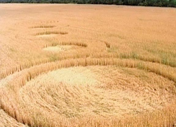 crop circle at Krasnodar | June 16 2010