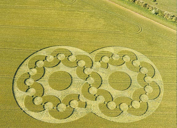 crop circle at Chirton Bottom | June 16 2010