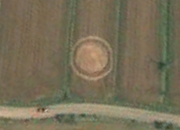 crop circle at Campi Bisenzio | June 24 2010