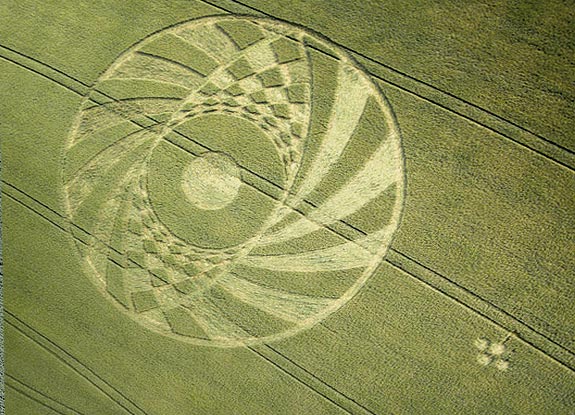 crop circle at Ufton | June 25 2010