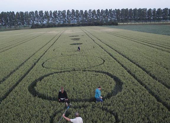 crop circle at Etten-Leur | June 26 2010