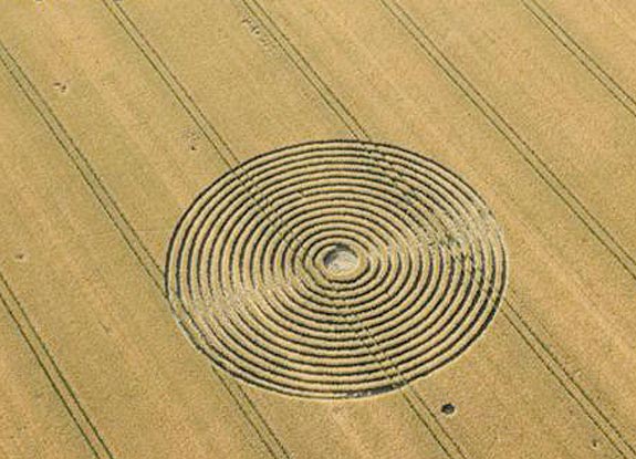 crop circle at Groß Schneen | June 30 2010