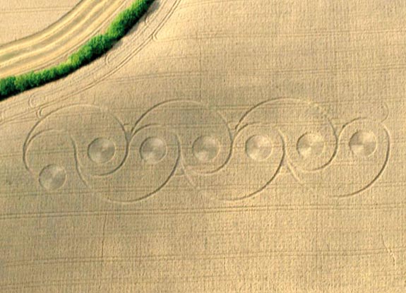 crop circle at Sutton Bank | July 05 2010