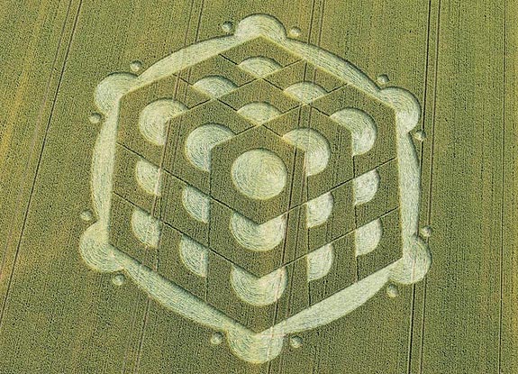 crop circle at Danebury Hill | July 06 2010