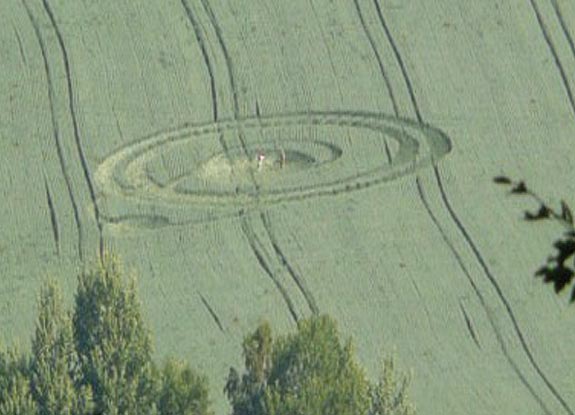 crop circle at Jitrava | July 08 2010