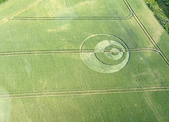 crop circle at Wismar | July 08 2010