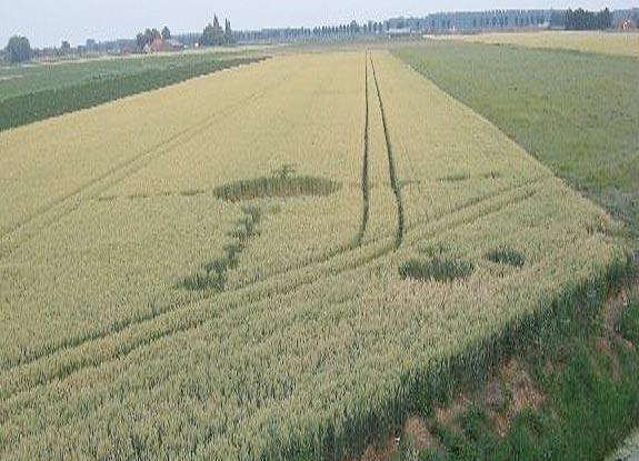 crop circle at Standdaarbuiten | July 09 2010