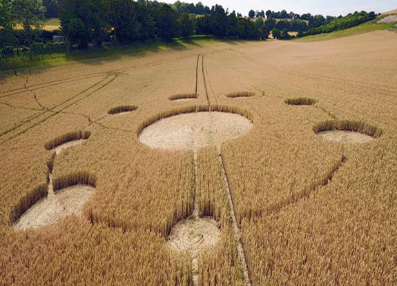 crop circle at Farley Mount | July 17 2010