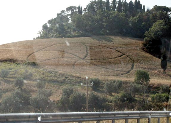 crop circle at Volterra | July 19 2010