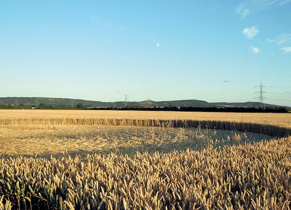 crop circle at Wentworth Castle | July 17 2010