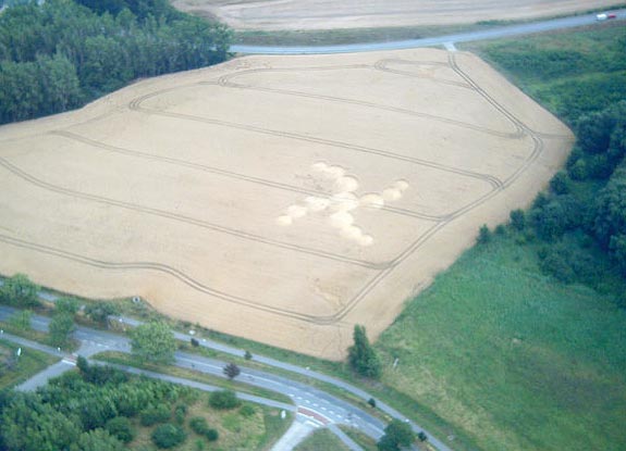 crop circle at Wismar | July 22 2010