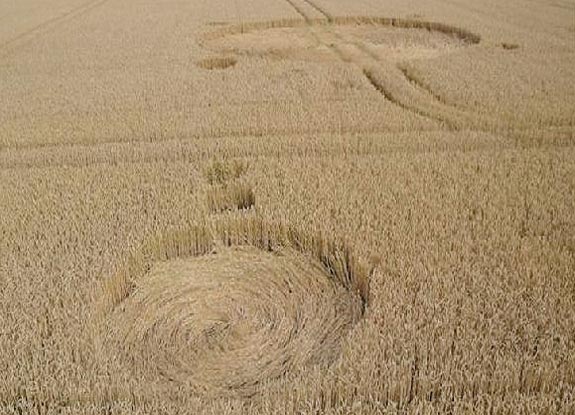 crop circle at Oost-Souburg | July 23 2010