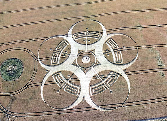 crop circle at Roundway Hill | July 25 2010