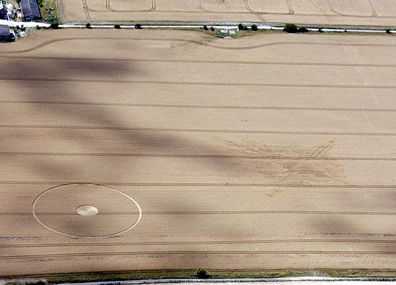 crop circle at Milk Hill | July 28 2010