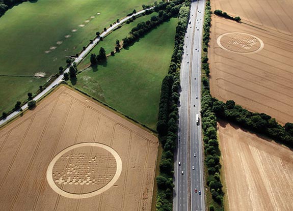 crop circles at Wickham Green | July 30 2010